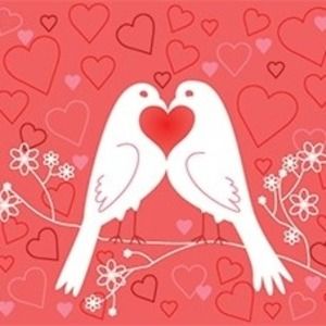 Meet your Posher, Sandy